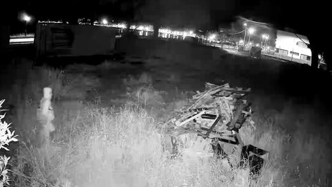Imagen de una c�mara de seguridad que capt� la llegada del ladr�n.
