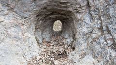 Los lagares rupestres de la Ribeira Sacra
