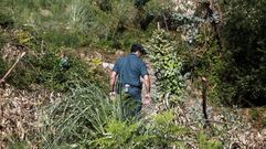 Las inc�gnitas de la desaparici�n de Diana Quer