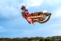 Jorge Prado