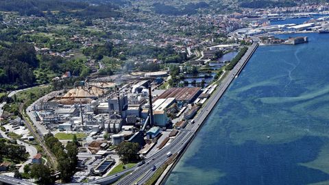 Terrenos de Ence en la ra de Pontevedra. Al fondo, el Puerto de Marn