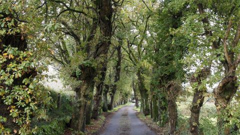 Zona de Lavandeiras, en Cerceda