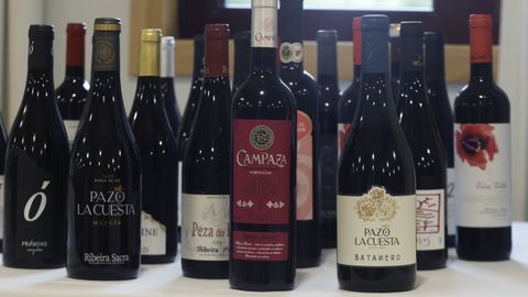 El PPdeG reclam� en Europa medidas par facilitar la comercializaci�n de vino