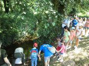 Los menores se afanaron a soltar las cr�as en el r�o