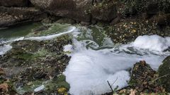 El r�o de Pesqueiras se ti�e de verde