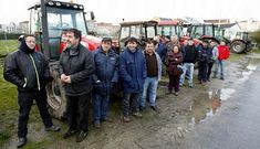 Concentraci�n de productores en el mercado ganadero de Chantada.