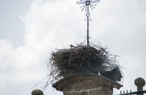 Las aves han conseguido asentarse otra vez sobre la iglesia de Ribas Altas 