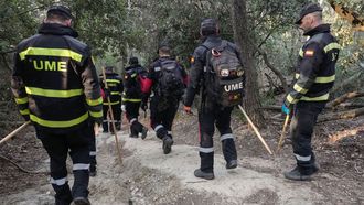 La UME participa en las tareas para buscar ms jabales afectados por la peste procina en Catalua