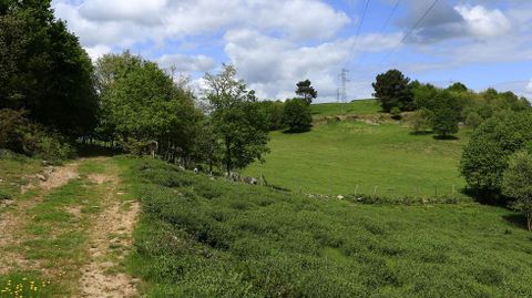 Un tramo del camino desde el que se ve a la derecha la loma del castro de A Parte