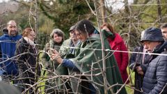 En la imagen, un curso de poda.
