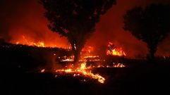 El incendio de Cualedro sigue activo despus de que las llamas cruzaran durante la noche a Portugal