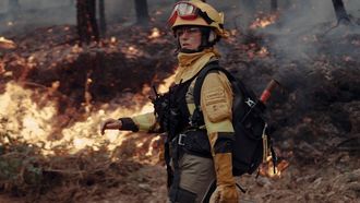 Incendio forestal en Bobor�s en nivel 2