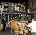 Por las calles de Chantada desfilaron diecis�is carros sobre los que se representaron complejas recreaciones de la vida tradicional.