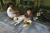 Los voluntarios de la patrulla medioambiental visitaron ayer el refugio de animales. 