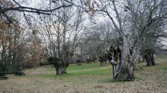 El bao de bosque ser en el souto de Rozavales.