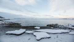 El oc�ano �rtico,