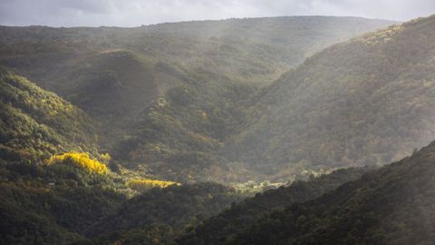 La luz y los colores ocre dan otro aspecto distinto al habitual a la zona de A Abeleda