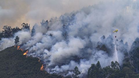 Vista del incendio forestal en la localidad asturiana de Pe�aflor (Grado)