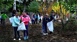 El a�o pasado una de las actividades realizadas por escolares de O Foxo fue el sembrado de c�sped.