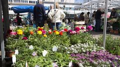 El primer mercado de primavera en Carballo: �vis�talo en im�genes!