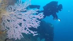 Primer coral negro de A Mari�a Lucense