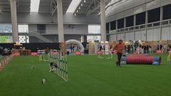 Actividades en la feria Pata Pata, celebrada en A Coru�a este fin de semana.