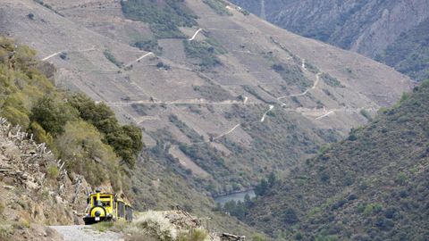 El tren turstico, en su recorrido por las pistas entre vias en bancales