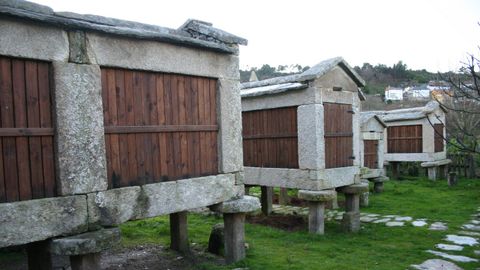 Conjunto de horreos en Avi�n