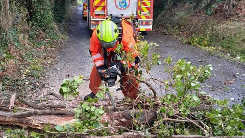 Bomberos del SPEIS de Nar�n retirando �rboles ca�dos