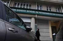 La sede del Colegio de Veterinarios de A Coru�a est� en Matogrande. 
