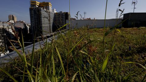 Nueva azotea del nmero 19 de la calle Concepcin Arenal, en Cuatro Caminos. 