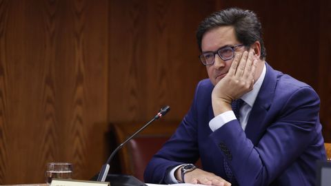 scar Lpez, en su comparecencia en el Senado.