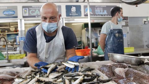 Sardinas en una plaza de abastos de Arousa