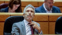 El ministro del Interior, Fernando Grande-Marlaska, el pasado da 15, en el Senado