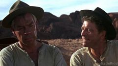 �Los profesionales�