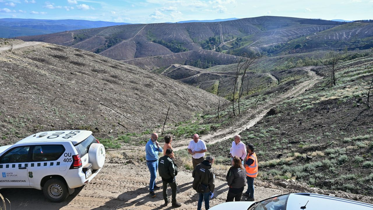 Laza y Castrelo do Val afrontan con 800.000 euros la recuperación de los montes quemados por el incendio de Oímbra del 2025