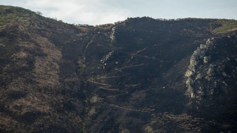Incendio ya extinguido en Llanos del Somer�n, en Lena