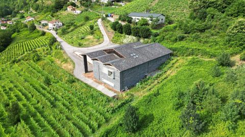 A la venta por 950.000 euros una bodega y vi�edo de Albar�n Blanco en Cangas del Narcea