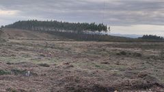 Montes de la parroquia de A Órrea (Riotorto), un municipio donde la tasa por saca de madera causa polémica