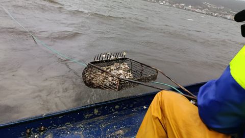 La cofrad�a de Noia realiz� un an�lisis m�s en profundidad a bordo de dos lanchas.