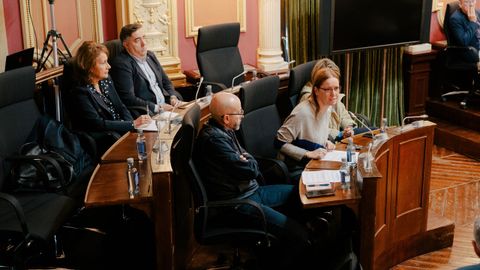 Sonia Ogando y Miguel ngel Michinel no asistieron al pleno del mircoles.