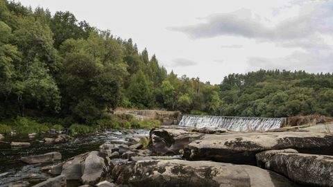 El Mi�o a su paso por O Piago, en Outeiro de Rei