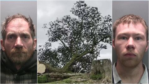 Daniel Graham (izquierda) y Adam Carruthers (derecha) junto al «Sycamore Gap» que talaron. Durante el jucio no admitieron ser los autores del arboricidio, pese a que las pruebas contra ellos fueron determinantes para la jueza.