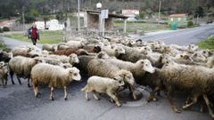 No todas las aldeas mueren: ejemplos de vida en la Costa da Morte