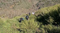 Un grupo de voluntarios que ha participado en las plantaciones realizadas en el entorno de la aldea de Seceda