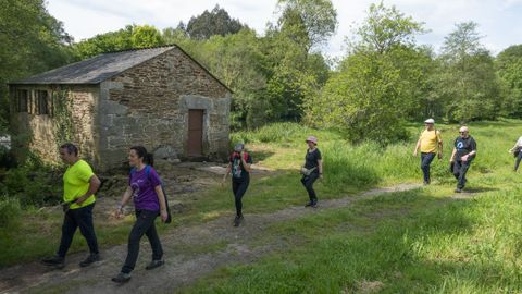 Romaxe de San Alberte en Guitiriz