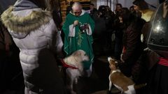 Bendici�n a los animales en A Coru�a