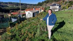 Isabel Gestal ya ha renunciado a cultivar su huerta de Bandoxa por la intrusi�n de los animales