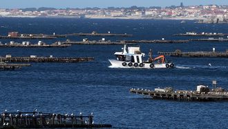 Un barco bateeiro navegando entre criaderos flotantes de mejill�n en la r�a de Arousa (foto de archivo)