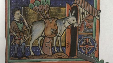 Ilustraci�n relativa al asno en el bestiario del siglo XIII de la Biblioteca Bodley, Universidad de Oxford (MS. Bodley 764)